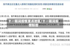 十一期间疫情重点地区/十一期间疫情新增