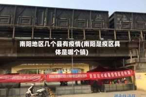 南阳地区几个县有疫情(南阳是疫区具体是哪个镇)