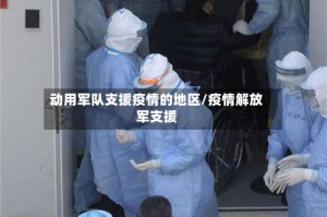 动用军队支援疫情的地区/疫情解放军支援
