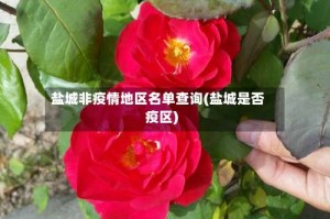 盐城非疫情地区名单查询(盐城是否疫区)