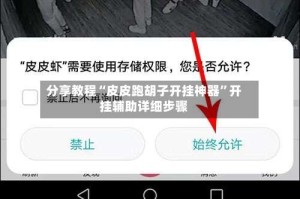 分享教程“皮皮跑胡子开挂神器”开挂辅助详细步骤