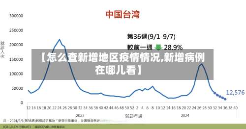 【怎么查新增地区疫情情况,新增病例在哪儿看】-第1张图片
