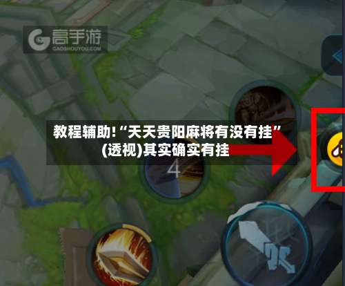 教程辅助!“天天贵阳麻将有没有挂”(透视)其实确实有挂-第2张图片