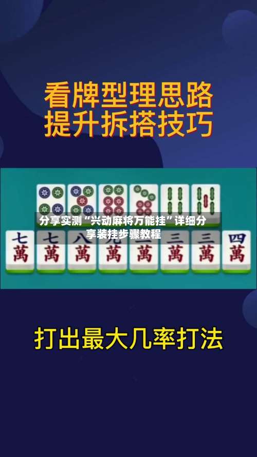 分享实测“兴动麻将万能挂”详细分享装挂步骤教程-第3张图片