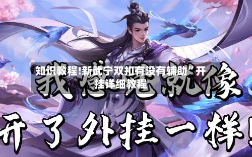 知识教程!新武宁双扣有没有辅助”开挂详细教程-第1张图片