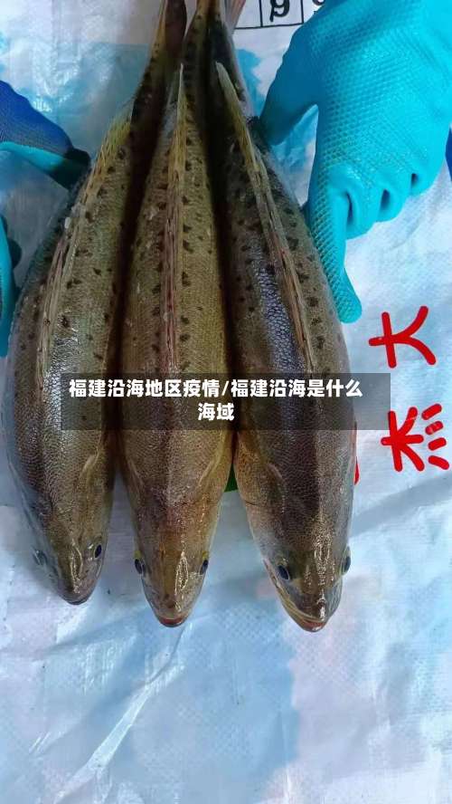 福建沿海地区疫情/福建沿海是什么海域-第2张图片
