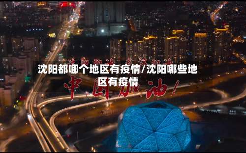 沈阳都哪个地区有疫情/沈阳哪些地区有疫情-第3张图片