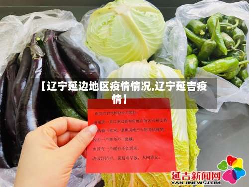 【辽宁延边地区疫情情况,辽宁延吉疫情】-第3张图片