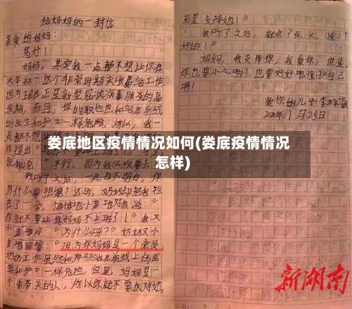 娄底地区疫情情况如何(娄底疫情情况怎样)-第2张图片