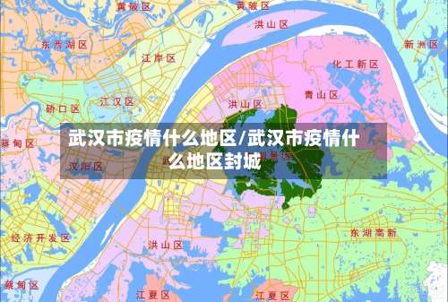 武汉市疫情什么地区/武汉市疫情什么地区封城-第2张图片