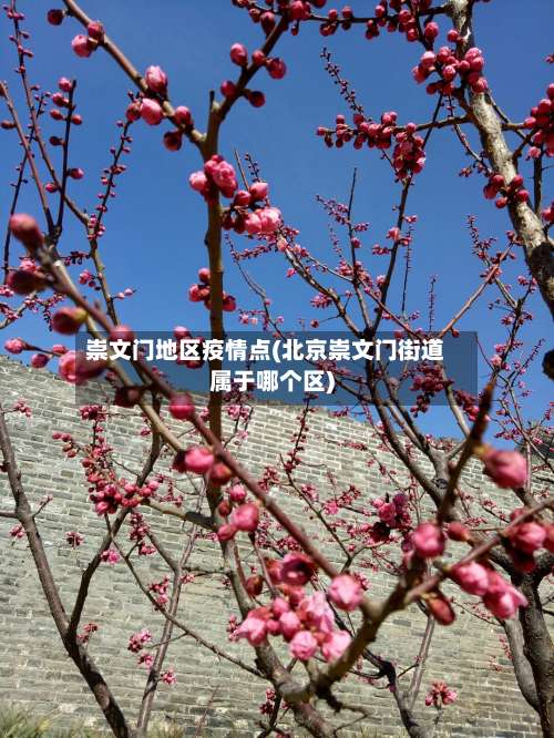 崇文门地区疫情点(北京崇文门街道属于哪个区)-第2张图片