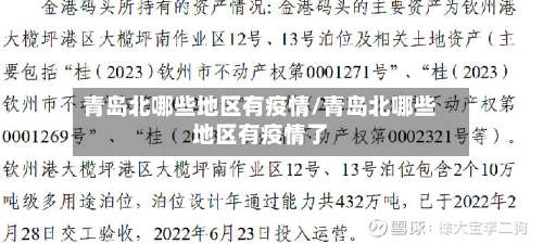 青岛北哪些地区有疫情/青岛北哪些地区有疫情了-第3张图片