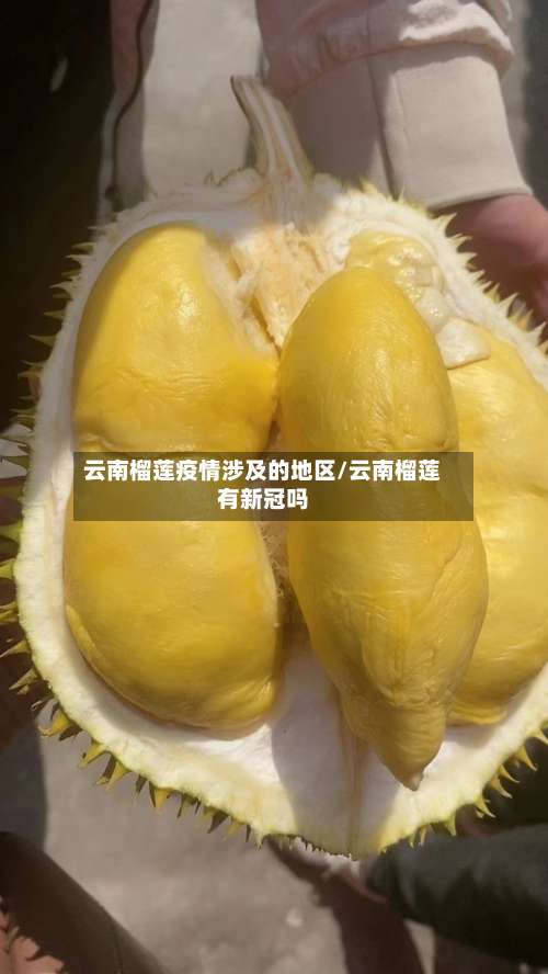 云南榴莲疫情涉及的地区/云南榴莲有新冠吗-第2张图片